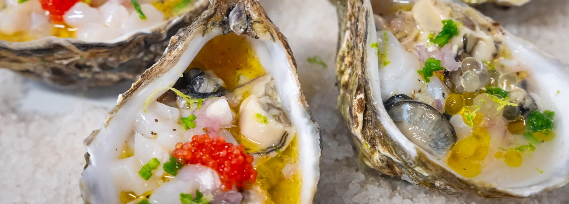 Recette : Tartare d'huîtres et Saint Jacques