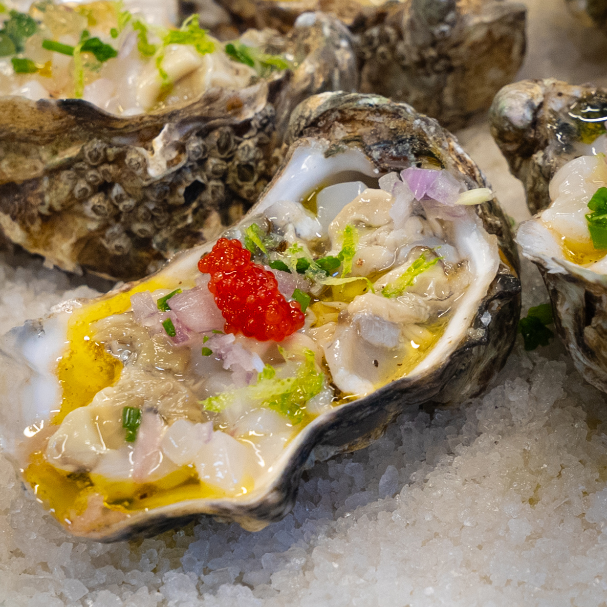 Tartare d'huîtres et Saint Jacques